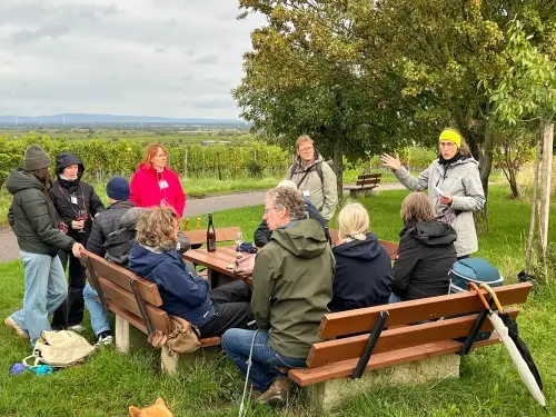 Große Gruppe lauscht der Gästeführerin an Picknickbänken in den Weinbergen